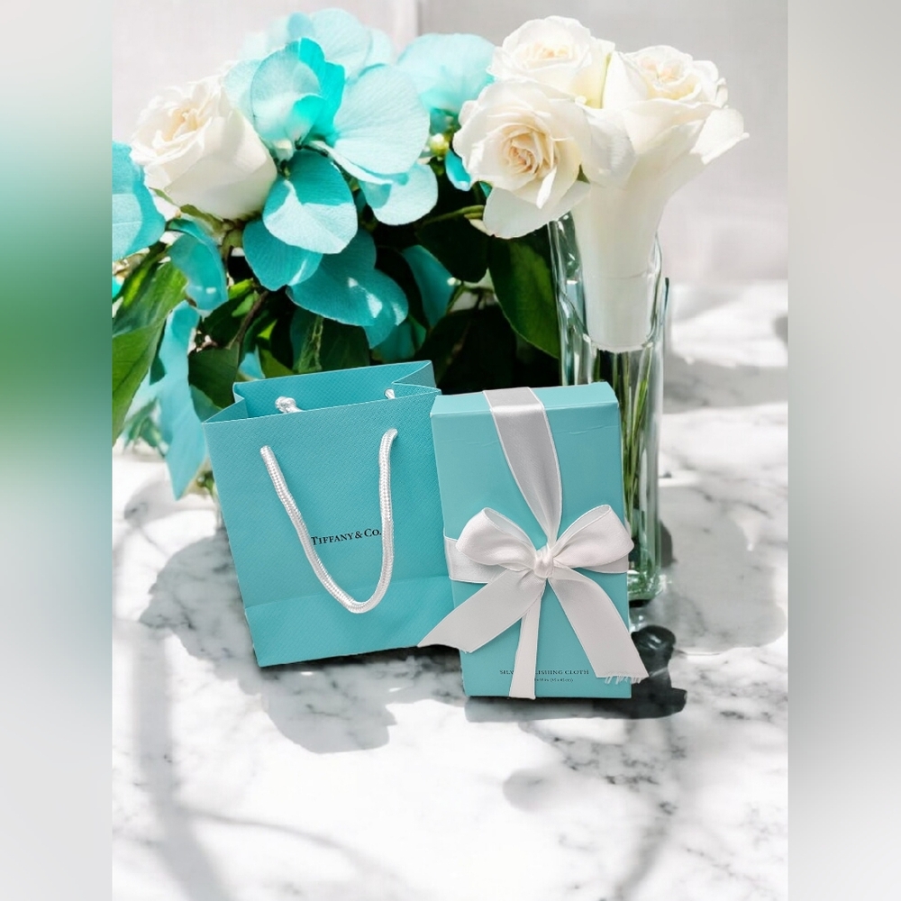 NiB Tiffany & Co. X-Large Silver Polishing Cloth & Mini Tiffany Bag